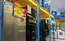 Xả hàng cuối mùa, tủ lạnh dung tích trên 600 lít giảm giá thảm