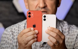 Thị trường smartphone màn hình nhỏ có thực sự tồn tại? Hay iPhone 12 mini sẽ là cú sảy chân vô duyên của Apple