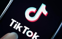 Hướng dẫn bạn cách tải video trên TikTok không bị dính logo