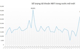 Nhà đầu tư lại ồ ạt mở tài khoản chứng khoán với hơn 36.000 tài khoản