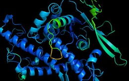 Đột phá: AI của DeepMind giải thành công phần lớn cấu trúc protein, giúp ta hiểu rõ cả bệnh tật lẫn thuốc thang