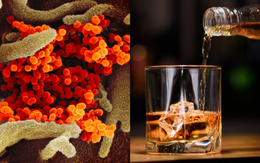 Uống rượu có giết được virus trong cơ thể: Chuyên gia nói sẽ "giết người trước khi giết virus"