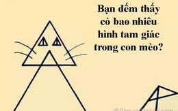 Thách thức thị giác: Bạn đếm xem có bao nhiêu tam giác trong bức hình này?