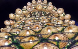 Cây thông Noel "độc nhất" xứ Nghệ cao hơn 21m, được kết từ 1000 nón lá cùng bóng đèn sáng rực
