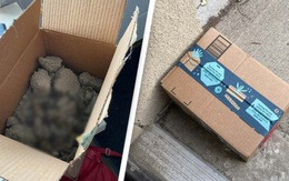 Cô gái bỏ "mìn mèo" vào hộp để trước cửa nhà dằn mặt kẻ trộm đồ ship, 40 phút sau cái hộp không cánh mà bay