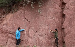 Phát hiện gần 100 dấu chân khủng long to lớn ở Tây Tạng
