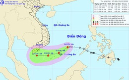 UBND TP HCM ra công văn khẩn, chỉ đạo ứng phó bão số 14