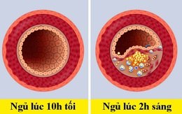 Khi đi ngủ trước - sau 10h tối, cơ thể con người sẽ khác nhau như thế nào?