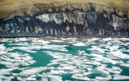 "Xác sống" đe dọa Trái Đất ẩn mình dưới Bắc Băng Dương