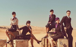 Bất ngờ khi biết lý do các tiếp viên hàng không thường là các mỹ nam, mỹ nữ