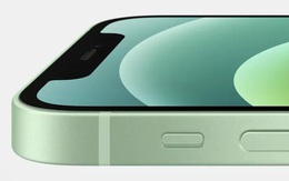 Apple thật ra phải "nhờ" rất nhiều công ty khác để sản xuất iPhone 12