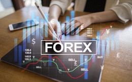 Môi giới Forex trái phép có thể bị xử lý hình sự