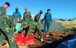 Đào móng xây nhà, tá hỏa phát hiện gần 1 tấn bom mìn