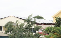 Đắk Lắk: Thu hồi các dự án làm điện mặt trời trên mái trường học