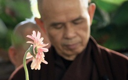 Thiền sư Thích Nhất Hạnh: Con người luôn có khuynh hướng chạy trốn khổ đau để đi tìm an lạc