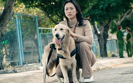 Phương Anh Đào: "Sức khỏe của tôi đang không ổn định"