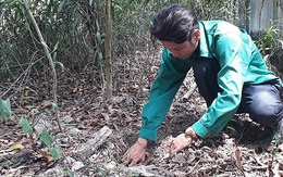 Thi thể thai nhi đang phân hủy được công nhân phát hiện khi phân loại rác tại nhà máy