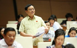 ĐBQH tranh luận tại Quốc hội khi đề cập vụ án Hồ Duy Hải, vụ bị cáo nhảy lầu tự tử ở tòa Bình Phước