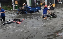 Mưa lớn do ảnh hưởng của bão số 1, cây đổ đè chết người đi đường ở TP.HCM