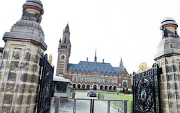 Chuyên gia chỉ cách Trung Quốc đối phó với đơn kiện Covid-19 của Mỹ