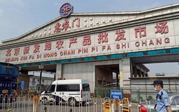 Hàng loạt quan chức bị mất chức do để bùng phát dịch Covid-19 ở Bắc Kinh