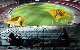 Bóng đá châu Âu: Covid-19, khán giả ảo và thật!