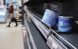 Đặc điểm của nhóm người tích trữ giấy vệ sinh trong đại dịch Covid-19