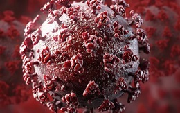 Chuyên gia chỉ ra bốn bài học trong quan hệ quốc tế giữa đại dịch Covid-19