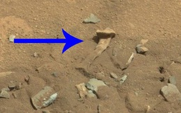 Sự thật về bức ảnh chụp 'xương người' trên bề mặt Sao Hỏa của NASA