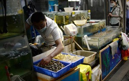 TQ tìm thấy dấu vết COVID-19 nằm "la liệt" ở các quầy thịt và hải sản tại chợ Bắc Kinh