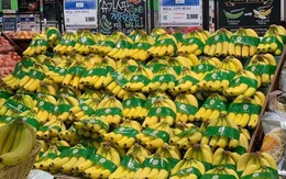 Chuối Việt Nam chính thức có mặt tại hệ thống siêu thị lớn của Hàn Quốc