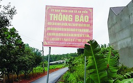 Bất động sản Long Thành: Báo động thông tin ảo