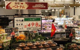 Hành trình dài đưa hoa quả Việt vào Nhật Bản