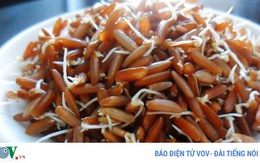 Rau củ nảy mầm có lợi hay có hại cho sức khỏe?