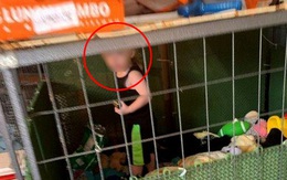 Bé trai 18 tháng tuổi bị mẹ và người thân nhốt trong chuồng chó bẩn thỉu với hàng trăm con vật khác từ rắn, chuột đến thỏ, gà