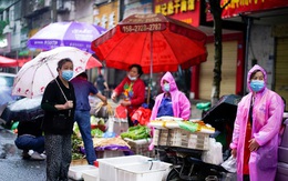 Đại dịch hoành hành nửa năm, WHO mới điều chuyên gia đến Vũ Hán tìm nguồn gốc COVID-19