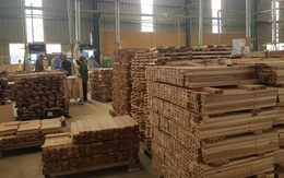 Cảnh báo luồng gỗ bất hợp pháp từ nước ngoài tuồn vào Việt Nam