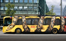 11 quảng cáo xe bus cực thông minh và ấn tượng, nhìn một lần là nhớ mãi