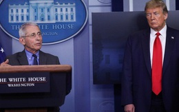 Covid-19 càn quét nước Mỹ, Tổng thống Trump không tha người nhà