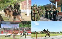 Chó nghiệp vụ Biên phòng Việt Nam sẽ thi tài tại Army Games 2020