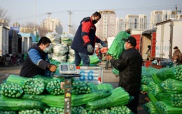 TQ dồn dập hứng "liên hoàn cước": Từ COVID-19, mưa lũ lịch sử, đến "cú đấm" vào dạ dày của người dân