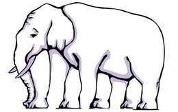 Thách thức thị giác: Tìm khuôn mặt cô gái; con voi này có bao nhiêu chân?