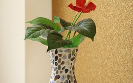 Chọn chiếc bình phù hợp với yêu cầu nhất, câu trả lời sẽ tiết lộ tình yêu của bạn đáng giá như thế nào, là vô giá hay bình thường