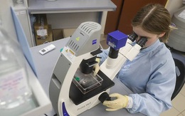 Nga tự tin có vaccine ngừa Covid-19 sớm hơn các nước khác