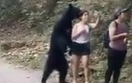 Bất ngờ bị gấu 'vồ' nhưng vẫn bình tĩnh rút điện thoại ra selfie, cô gái được khen nức nở vì thần kinh thép