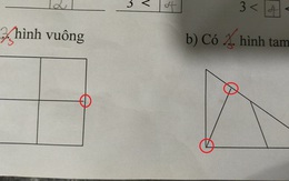 Bài toán đếm hình lớp 1 đơn giản khiến phụ huynh nhiệt tình tranh cãi, nghe lý giải của học sinh mới thấy sai sai