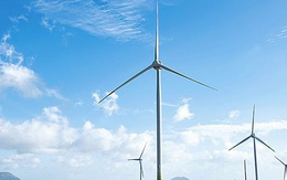 Tổng giám đốc Trung Nam Group: Các nhà đầu tư điện gió đang bị o ép cả về giá và tiến độ sản xuất