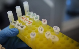 Chiến lược "rùa biển" giúp Trung Quốc vươn lên trên mặt trận sản xuất vắc-xin