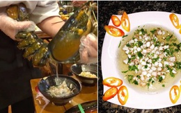 Dân mạng “trố mắt” trước cảnh lấy tiết canh tôm hùm sống – món ăn thơm ngon có mức giá không hề rẻ tí nào