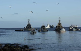 Quốc gia Nam Mỹ "phát hoảng" vì phát hiện đoàn tàu TQ đông chưa từng thấy xuất hiện tại quần đảo di sản